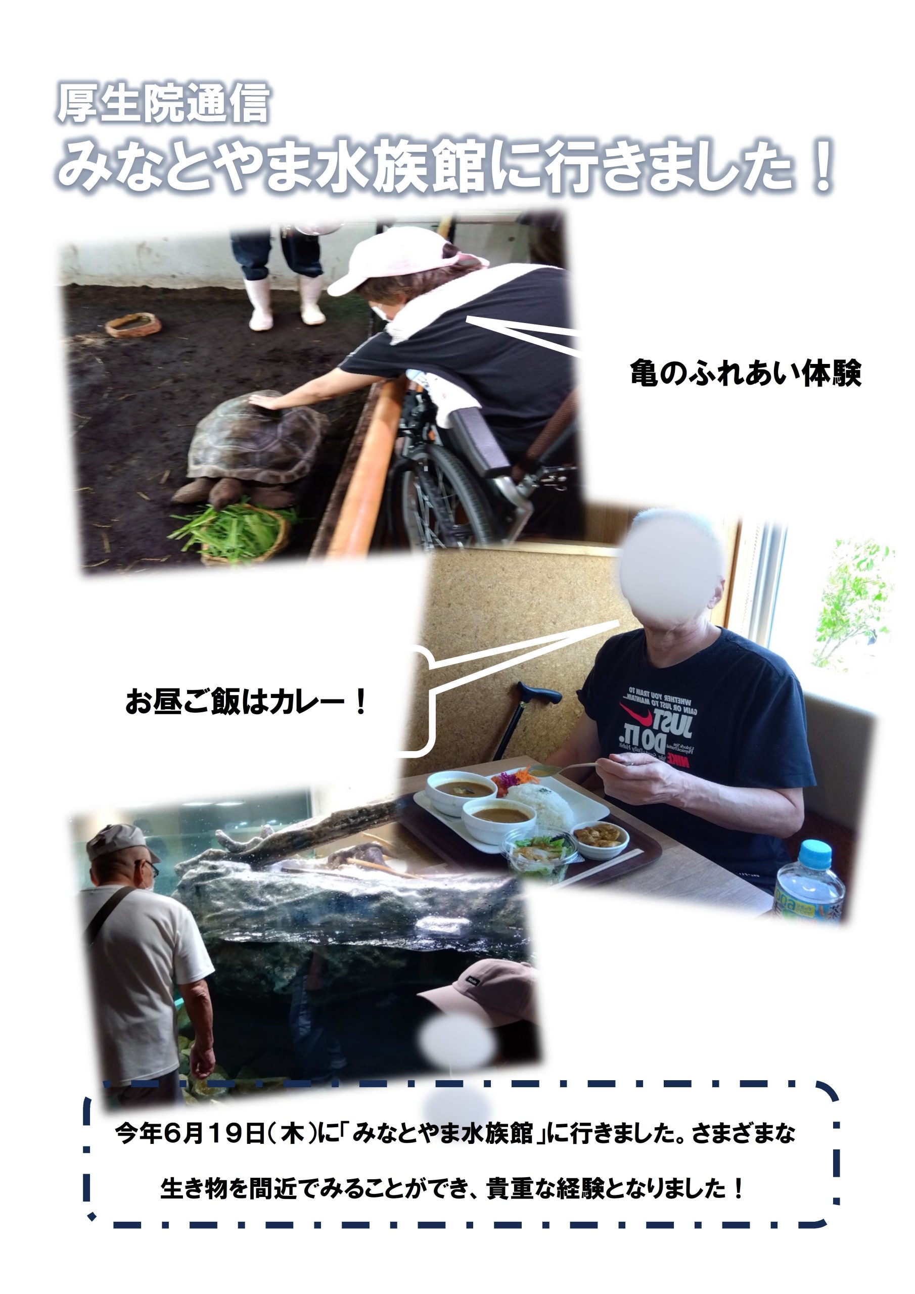 みなとやま水族館に行きました イメージ画像